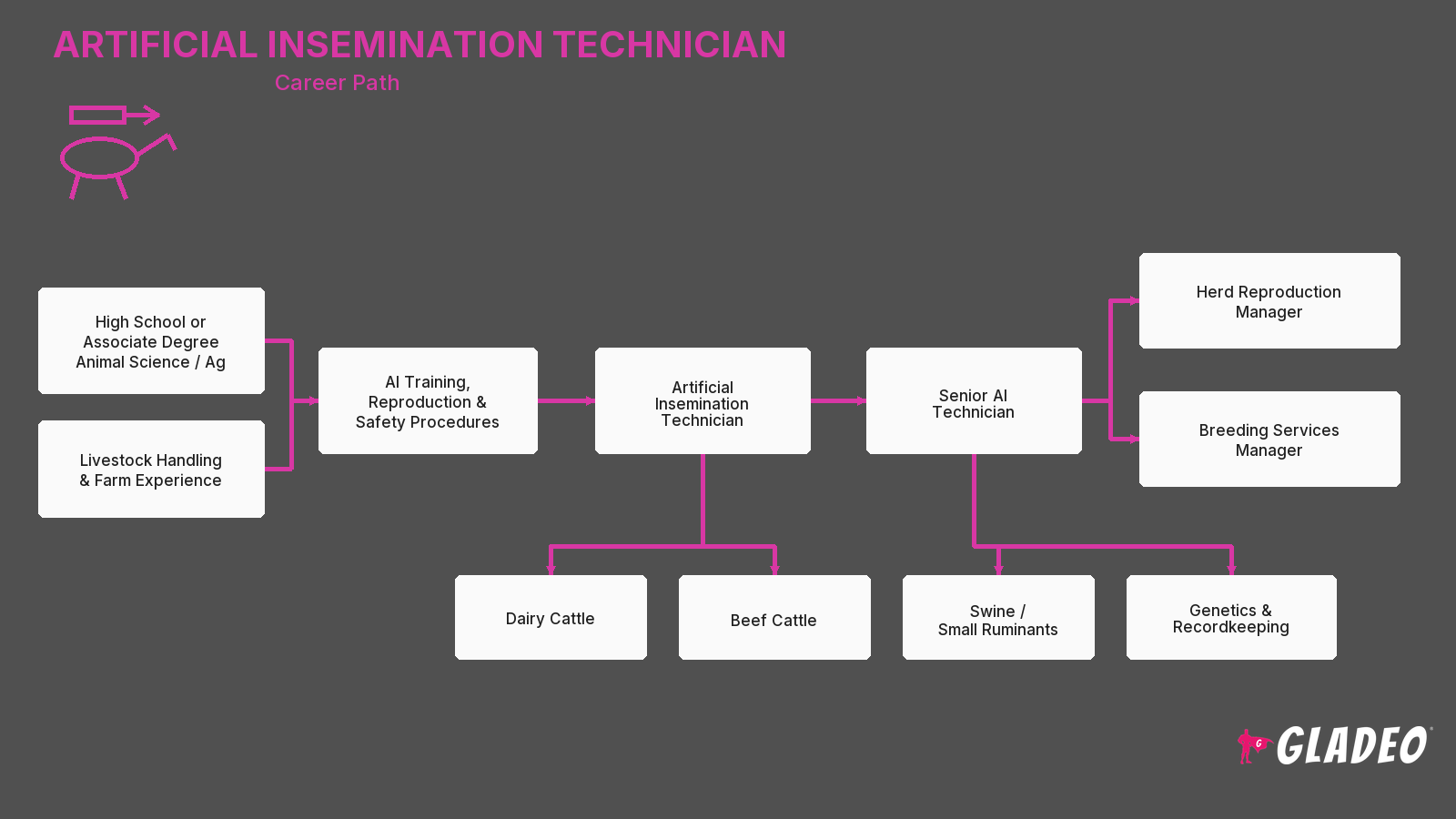 Artificial Insemination Technician